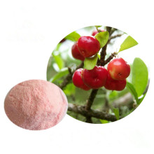 Natural Pure Acerola Cherry Extract Powder with 17% 25% VC